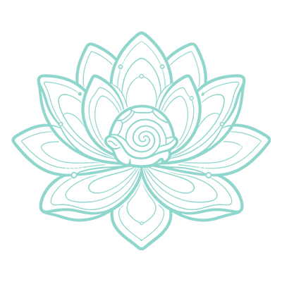 Turtle Creation&Cultivation